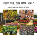 순수하고 달콤한 진미 9호 황금빛 패션프루트 묘목 그해 사계절 과일 발코니 화분 흙 접목 묘목 덩굴 - 이미지 5