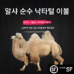 양머리 순수 낙타털 이불 두꺼운 따뜻한 겨울 이불 봄 가을 싱글 더블 학생용 이불 코어 순면 낙타털 이불