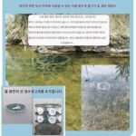 접이식 낚시 케이지, 새우 케이지, 새우 그물, 랍스터 그물, 미꾸라지와 게를 잡는 도구, 작은 물고기 낚시 그물, 어망 - 이미지 3