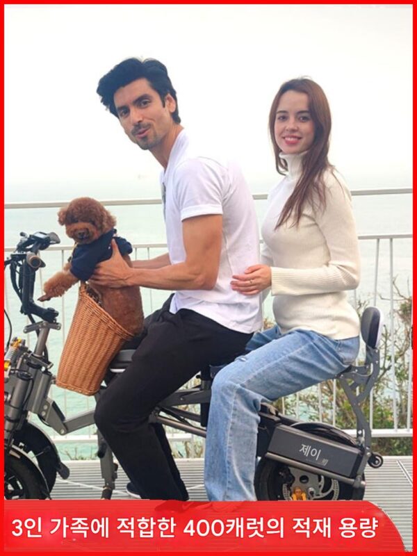 젠싱 역삼륜 스쿠터 접이식 배터리 자동차 부모-자식 텀블러 노인 리튬 배터리 전기 자전거