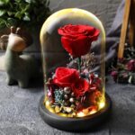 보존 장미 꽃 유리 커버 선물 상자 발렌타인 데이 크리스마스 선물 여자친구 생일 회사 선물 - 이미지 2