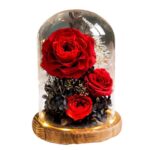 보존 장미 꽃 유리 커버 선물 상자 발렌타인 데이 크리스마스 선물 여자친구 생일 회사 선물 - 이미지 5