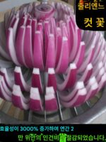 양파 절단기 수동 양파 절단 상업용 양파 절단 도구 양파 절단기 양파 절단 도구