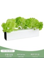 행운의 구매자 무토양 재배 수경 재배 장비 100x100 완전 차양 중공 수경 파이프 과일 및 채소 재배 탱크 - 이미지 4