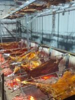 양고기 통구이 스토브 자동 뒤집기 숯불 바베큐 전기 구이 젖먹이 돼지 구이 양 다리 토끼 양갈비 두꺼운 바베큐 스토브 - 이미지 5