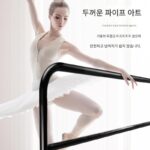 가정용 댄스 바레, 휴대용 다리 스트레칭 바레, 어린이 댄스 연습용 더블 레이어 바레, 전문 댄스 룸 교실 - 이미지 2