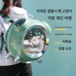 공장 직접 공급 알람 시계 모양 고양이 배낭 가방 고양이 케이지 자동차 상자 애완 동물 여행 고양이 가방