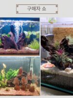 샤오미 어항 침몰형 목재 20-40cm 조경 장식품 소형 천연 보라색 티크 아치 다리 남미 나무 그루터기 거북이 일광욕 플랫폼 - 이미지 4