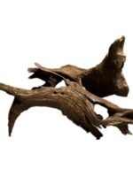 샤오미 어항 침몰형 목재 20-40cm 조경 장식품 소형 천연 보라색 티크 아치 다리 남미 나무 그루터기 거북이 일광욕 플랫폼 - 이미지 5