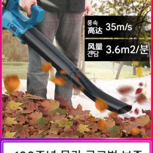 독일산 고출력 강력한 송풍기 충전식 헤어 드라이어 리튬 배터리 강력한 송풍 낙엽 및 먼지 제거 유물