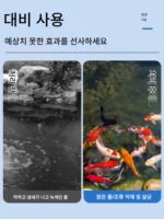 스테인리스 스틸 어류 연못 필터 드럼 미세여과기 물 순환 시스템 코이 연못 필터 역세척 물고기 배설물 분리 - 이미지 2