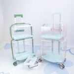 반려동물 카트 고양이 가방 휴대용 2중 레이어 2마리 고양이 가방 투명 개 항공 상자 카트 - 이미지 4