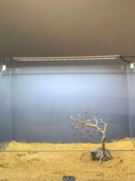 파인 모스 트리 환영 소나무 골격 물고기 탱크 조경 장식 브라질 나무 침하 나무 물 잔디 게으른 조경 재료 - 이미지 3