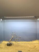 파인 모스 트리 환영 소나무 골격 물고기 탱크 조경 장식 브라질 나무 침하 나무 물 잔디 게으른 조경 재료 - 이미지 4