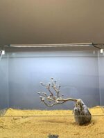 파인 모스 트리 환영 소나무 골격 물고기 탱크 조경 장식 브라질 나무 침하 나무 물 잔디 게으른 조경 재료 - 이미지 5