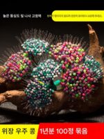 환성 부티크 실리콘 스페이스 빈즈 대량 정품 경쟁력 초단거리 낚시 스톱 빈즈 낚싯줄 메인 라인 라인 그룹 소형 액세서리 - 이미지 2