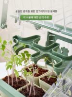 선룸 식물 심기 어린이 과학 실험 세트 식물 성장 관찰 소년 소녀 야채 심기 장난감 어린이날 선물 - 이미지 4