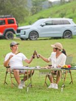 Wild Journey IGT 테이블 스테인리스 스틸 접이식 바베큐 그릴 숯 캠핑 소형 숯 바베큐 스토브 - 이미지 2