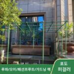 포도 패션프루트 등반대 안뜰 야외 루파 오이 선반 식물 멜론 창고 지지대 장미 장미 꽃 선반