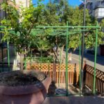 포도 패션프루트 등반대 안뜰 야외 루파 오이 선반 식물 멜론 창고 지지대 장미 장미 꽃 선반 - 이미지 2