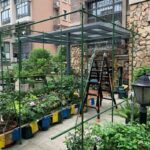 포도 패션프루트 등반대 안뜰 야외 루파 오이 선반 식물 멜론 창고 지지대 장미 장미 꽃 선반 - 이미지 4