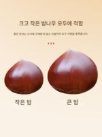 밤따개, 설탕구운 밤껍질 커터, 십자형 도구, 가정용 생밤 껍질 벗기기 스테인리스 스틸 클립 특수 유물 - 이미지 3