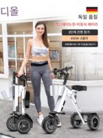 이동식 배터리 경량 접이식 2인승 전기 자동차 휴대용 소형 경량 미니 3륜 전기 여행 - 이미지 2