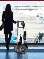 이동식 배터리 경량 접이식 2인승 전기 자동차 휴대용 소형 경량 미니 3륜 전기 여행 - 이미지 3