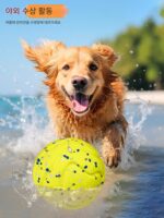 개 소리 장난감 단단한 큰 공 상호 작용 지루함 완화 씹기 체력 소모 이갈이 퍼즐 자기 오락 냄새 맡는 골든 리트리버 - 이미지 3