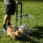 파노라마 투명 반려동물 트롤리 케이스 휴대용 고양이 및 개 여행 상자 대용량 통기성 반려동물 여행 가방