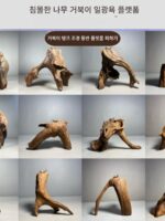 침몰한 나무 거북이 일광욕 플랫폼 깊은 물 일광욕 플랫폼 수족관 조경 도마뱀 수염도마뱀 아치 다리 나무를 피하기 위한 높은 수위 등반 플랫폼