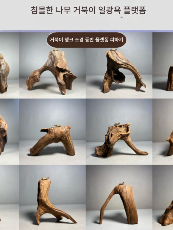 침몰한 나무 거북이 일광욕 플랫폼 깊은 물 일광욕 플랫폼 수족관 조경 도마뱀 수염도마뱀 아치 다리 나무를 피하기 위한 높은 수위 등반 플랫폼