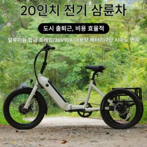 20인치 폭 타이어 전기 페달 삼륜차 전기 동력 알루미늄 합금 삼륜 자전거 리튬 배터리 노인 여행용