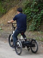 20인치 폭 타이어 전기 페달 삼륜차 전기 동력 알루미늄 합금 삼륜 자전거 리튬 배터리 노인 여행용 - 이미지 5