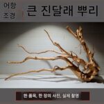 물고기 탱크 조경 대형 진달래 뿌리 열대 우림 탱크 해골 티룸 입구 천연 나무 뿌리 죽은 나무 부드러운 장식 장식품