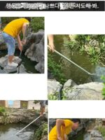 물고기 연못 하수 흡입기 수영장 바닥 흡입 물고기 배설물 장치 수영장 실트 먼지 기계 연못 소형 청소 기계 청소 - 이미지 2