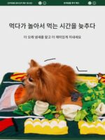 고양이와 개 사료 보관 매트 반려동물 냄새 맡는 매트 교육용 장난감 냄새 맡는 담요로 에너지 소모 및 지루함 해소, 변조 방지 홈 - 이미지 3