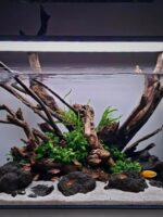 어항 조경 침몰한 나무 구멍 그루터기 해골 가지 거북이 어항 물 잔디 장식 조경 장식품 특별 아치 다리 물 반얀