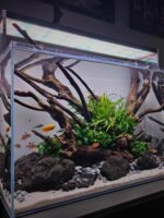 어항 조경 침몰한 나무 구멍 그루터기 해골 가지 거북이 어항 물 잔디 장식 조경 장식품 특별 아치 다리 물 반얀 - 이미지 2