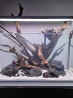 어항 조경 침몰한 나무 구멍 그루터기 해골 가지 거북이 어항 물 잔디 장식 조경 장식품 특별 아치 다리 물 반얀 - 이미지 3