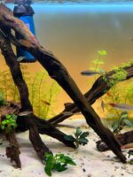 어항 조경 침몰한 나무 구멍 그루터기 해골 가지 거북이 어항 물 잔디 장식 조경 장식품 특별 아치 다리 물 반얀 - 이미지 4