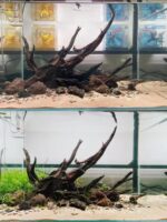 어항 조경 침몰한 나무 구멍 그루터기 해골 가지 거북이 어항 물 잔디 장식 조경 장식품 특별 아치 다리 물 반얀 - 이미지 5