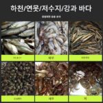 물고기 잡기 유물 거꾸로 된 낚시 병 작은 물고기와 새우 부모-자식 야외 어린이 낚시 통 낚시 흰색 줄무늬 물고기 그물 새우 케이지 - 이미지 3