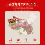 정통 신장 호탄 대추, 약강 회색 대추, 일급 붉은 대추, 뿌리에서 직접 채취, 기와 피를 보양하는 신선한 프리미엄 대추 - 이미지 3