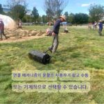 롤러 탬핑 머신 압축기 잔디 롤러 롤러 잔디 버킷 정원 워크 비하인드 롤러 - 이미지 2