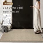 독일식 현관 매트 고급 도어 매트 가정용 바닥 매트 미끄럼 방지 도어 매트 현관문 절단 가능 거실 카펫 - 이미지 2