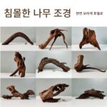 천연 보라색 포멜로 침몰한 나무 어항 조경 장식품 등반 애완동물 상자 장식 죽은 나무 남미 어항 풍경 나무 그루터기 뿌리