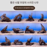 천연 보라색 포멜로 침몰한 나무 어항 조경 장식품 등반 애완동물 상자 장식 죽은 나무 남미 어항 풍경 나무 그루터기 뿌리 - 이미지 2