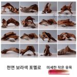 천연 보라색 포멜로 침몰한 나무 어항 조경 장식품 등반 애완동물 상자 장식 죽은 나무 남미 어항 풍경 나무 그루터기 뿌리 - 이미지 4