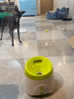 [강아지용 익스프레스 100개] 자동 공 제공기 상호작용 사료 누출 장난감 반려동물 훈련 및 지루함 해소 - 이미지 4